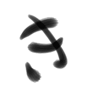 007