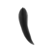 012