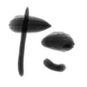 016