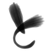 020