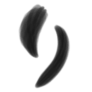 040