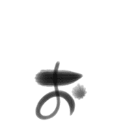 051