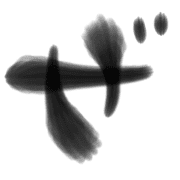 064