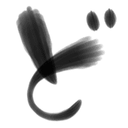 070