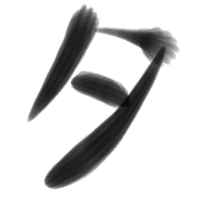 096