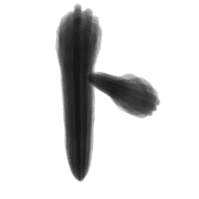 100