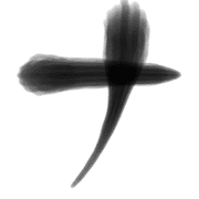 101