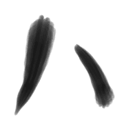 106