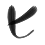 107