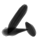 113