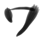 124