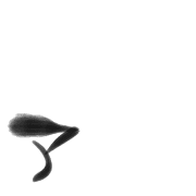 127