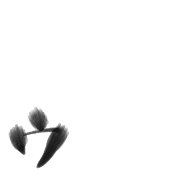 129