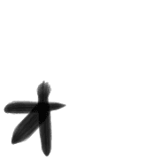 131