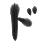 150