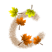 029