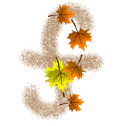 032