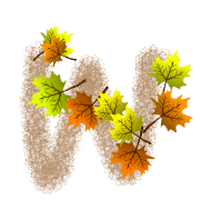 049