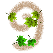 061