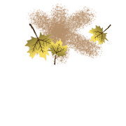 072