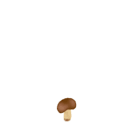 085