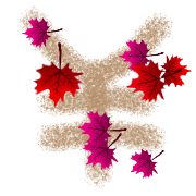 091