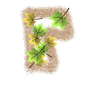 120