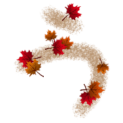003