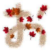 005