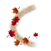 008