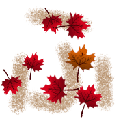 028