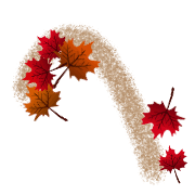 029