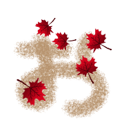 051