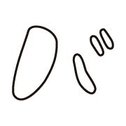 151