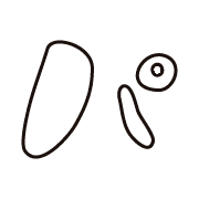 156