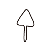 260