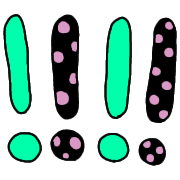 020
