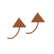 031