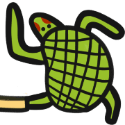 029