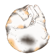 004