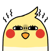 019