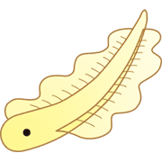 015