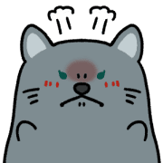 009