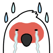 029