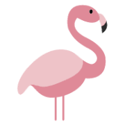003