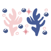 019