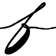 006