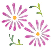 005