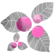 006