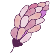 018
